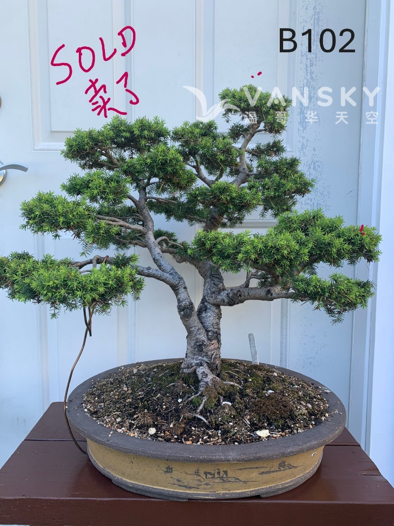 251018141919_B102 9 - 21-07 - SOLD.JPG